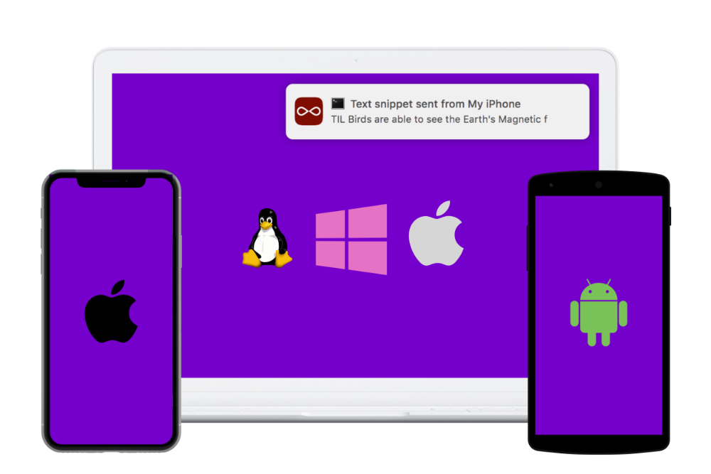 computer and phone screenshots